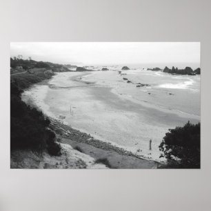 Poster Roche de phoque - Duotone