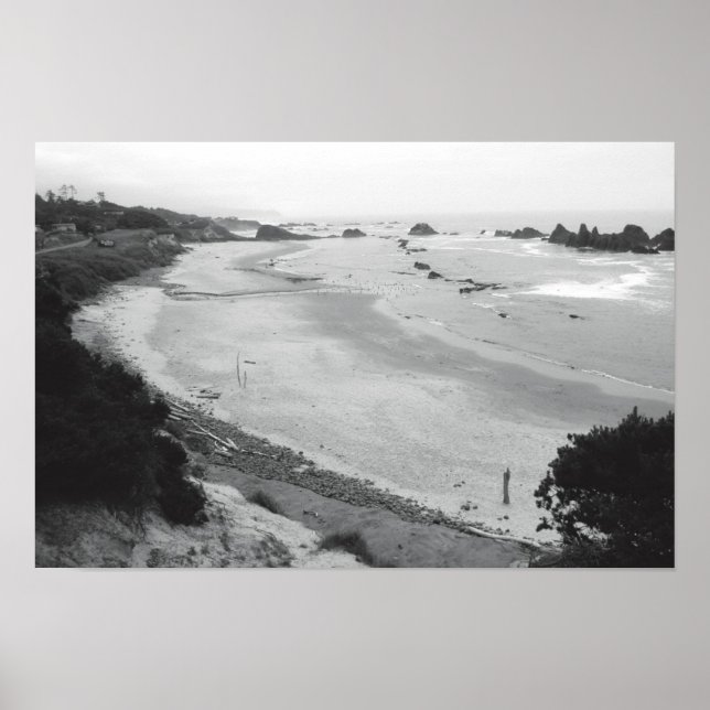 Poster Roche de phoque - Duotone (Devant)