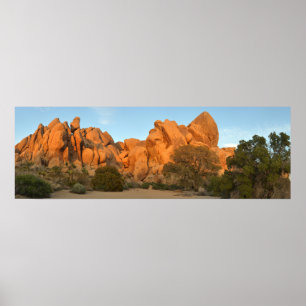 Poster Rochers du coucher de soleil à Joshua Tree