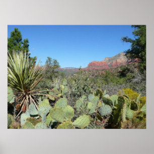 Poster Rochers rouges et cactus I