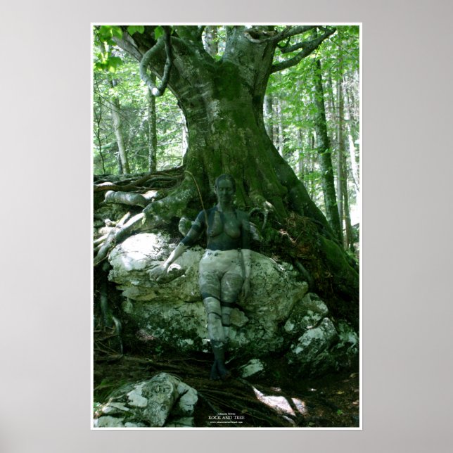Poster Rock and Tree by Johannes (Devant)