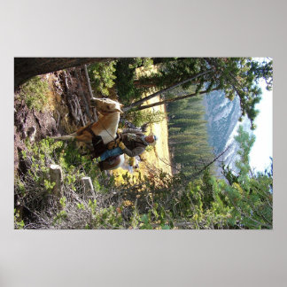 Poster Rocky Mountain Horse Ride