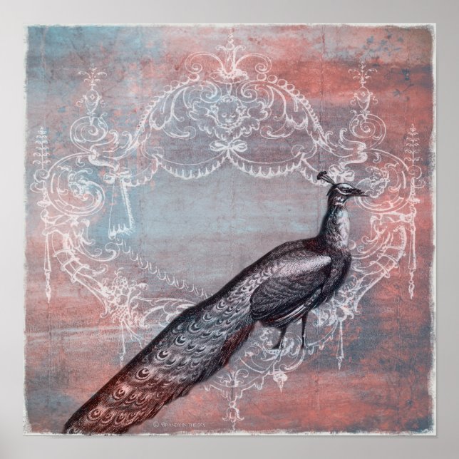 Poster Rococo French Blue & Pink Peacock Imprimer (Devant)