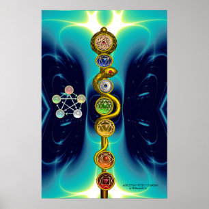 POSTER ROD OF ASCLEPIUS 7 CHAKRAS,YOGA ,SPIRITUAL ENERGY