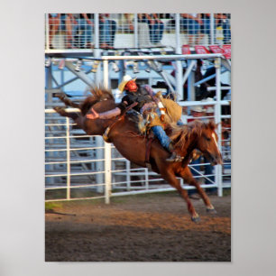 Poster Rodéo Bucking
