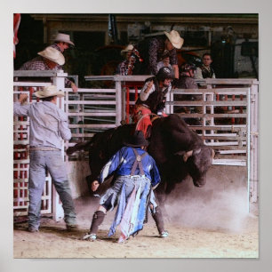 POSTER RODEO : BULL RIDING