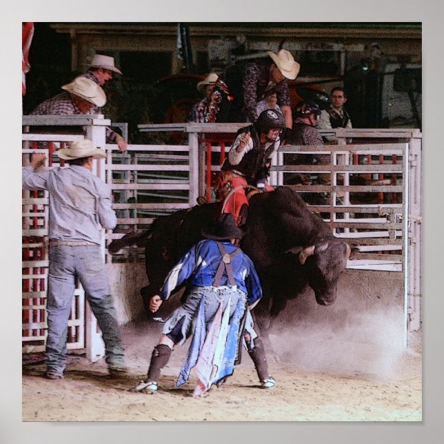 POSTER RODEO : BULL RIDING (Devant)