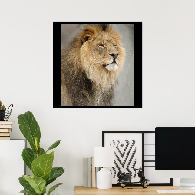 Poster Roi Lion de la Jungle (Bureau à domicile)