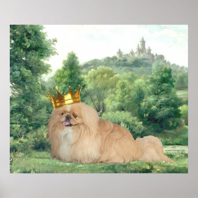 Poster Roi Pékinois (Devant)