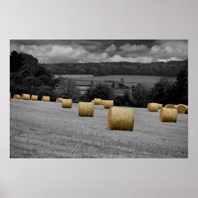 Poster Rolling Home (Devant)