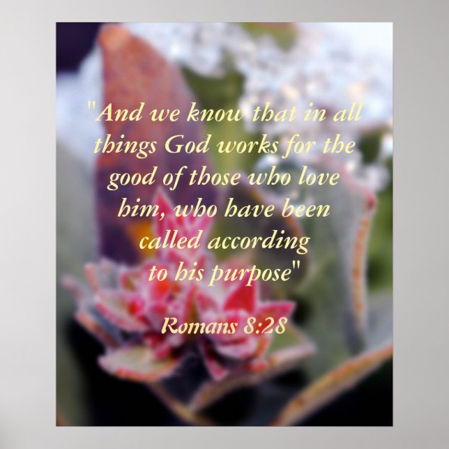 Poster Romains 8:28 (Devant)