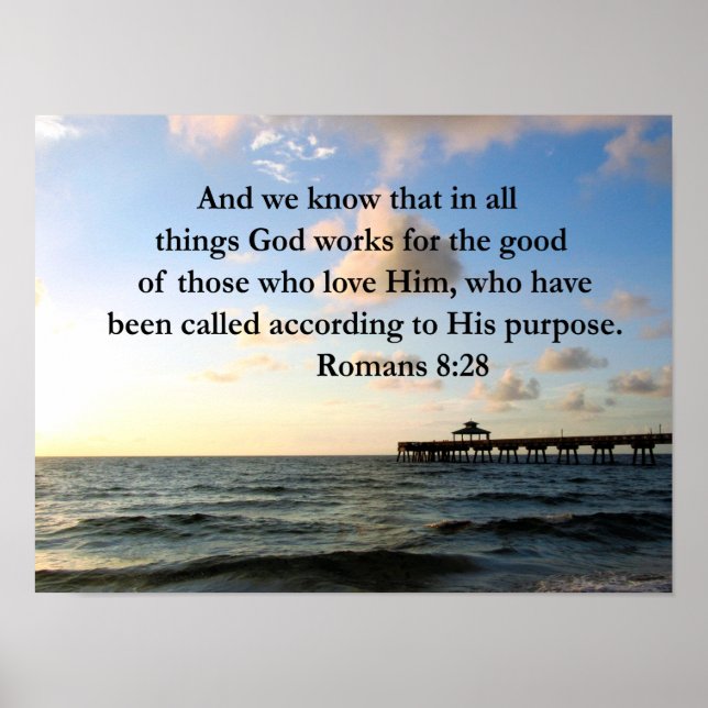 POSTER ROMAINS 8:28 BIBLE (Devant)