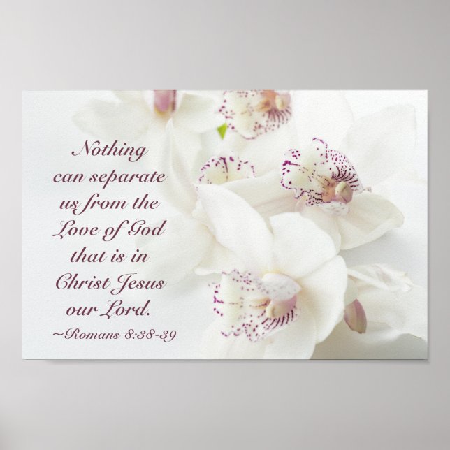 Poster Romains 8:39 Amour de Dieu Bible Orchidées Blanche (Devant)
