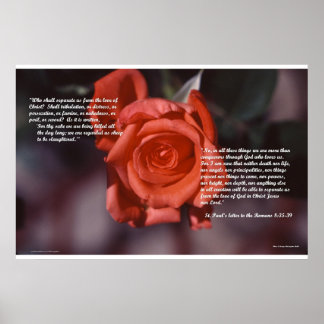 Poster Romains 8 Roses