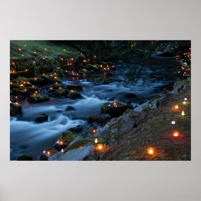 Poster Romance - Forêt Magique (Devant)