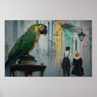 Poster Romance pluvieux avec perroquet – Perroquet sur la