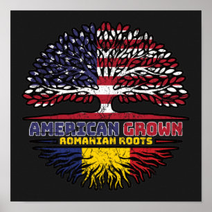 Poster Romania Romanian US American USA United States