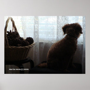 Poster Rookie attend