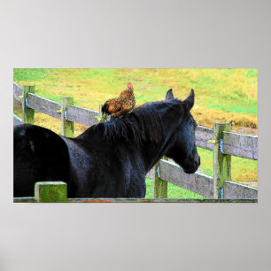 Poster Rooster and Mare