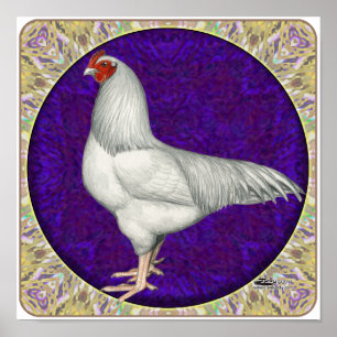 Poster Rooster Ixworth