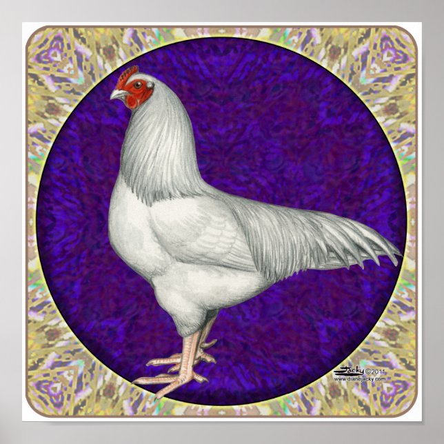 Poster Rooster Ixworth (Devant)