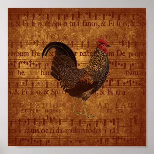 Poster Rooster musical (Devant)
