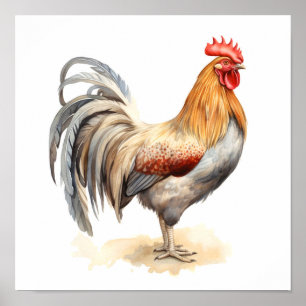 Poster Rooster Neutre Couleurs Aquarelle Peinture