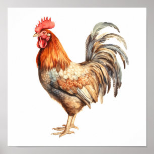 Poster Rooster Neutre Couleurs Aquarelle Peinture