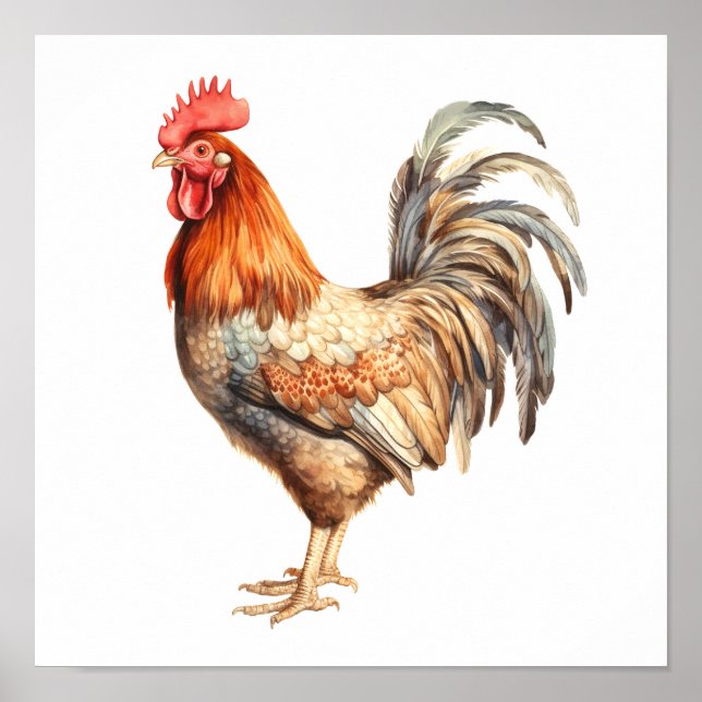 Poster Rooster Neutre Couleurs Aquarelle Peinture (Devant)