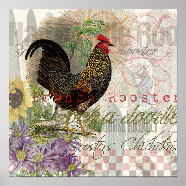 Poster Rooster vintage Français Collage Ferme Animaux dom (Devant)