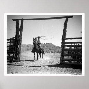 Poster Roping de cowboy