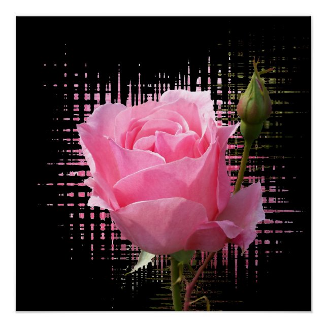 Poster rose (Devant)