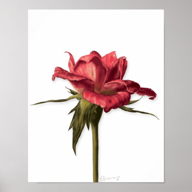 Poster rose (Devant)