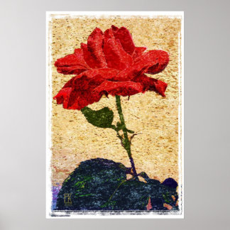POSTER ROSE 1