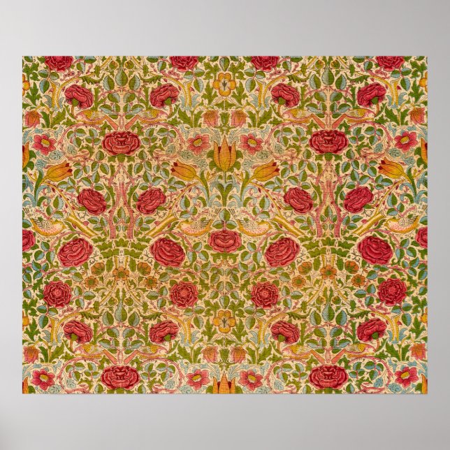Poster Rose, 1883 par William Morris (Devant)