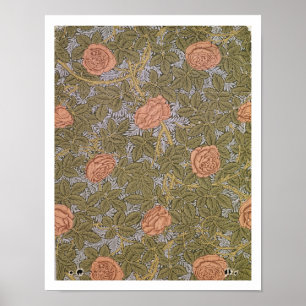 Poster 'Rose - 93'