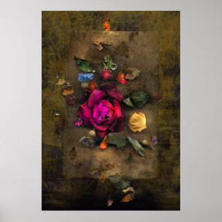 Poster Rose antique