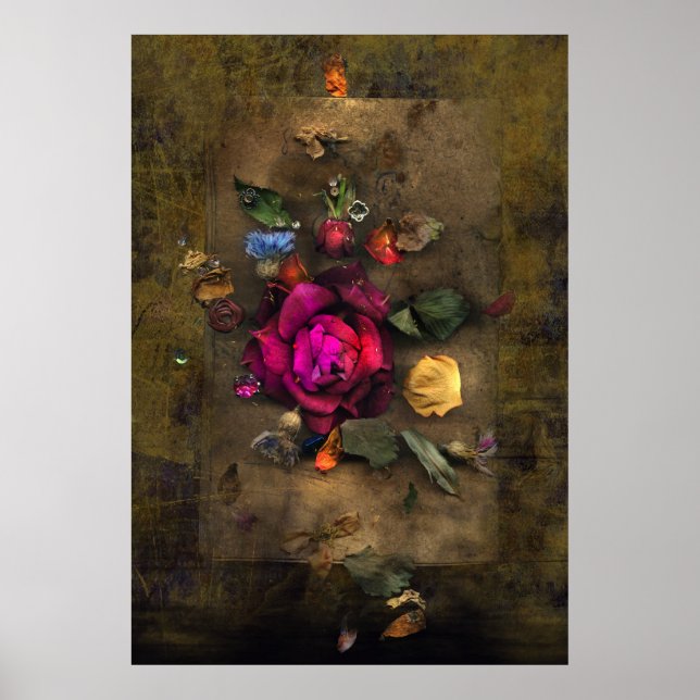 Poster Rose antique (Devant)