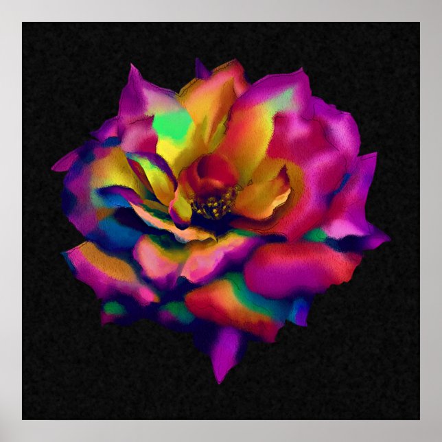 Poster Rose arc-en-ciel (Devant)