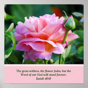 Poster rose avec la Bible Verse