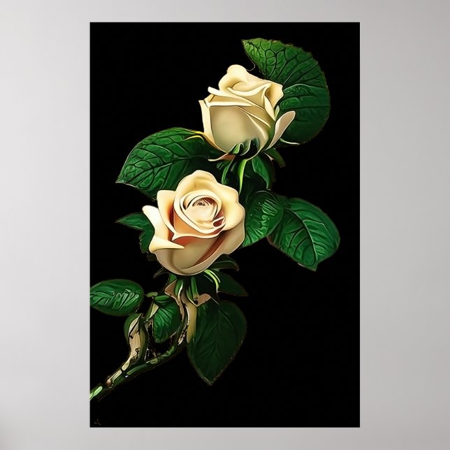 Poster Rose blanche (Devant)
