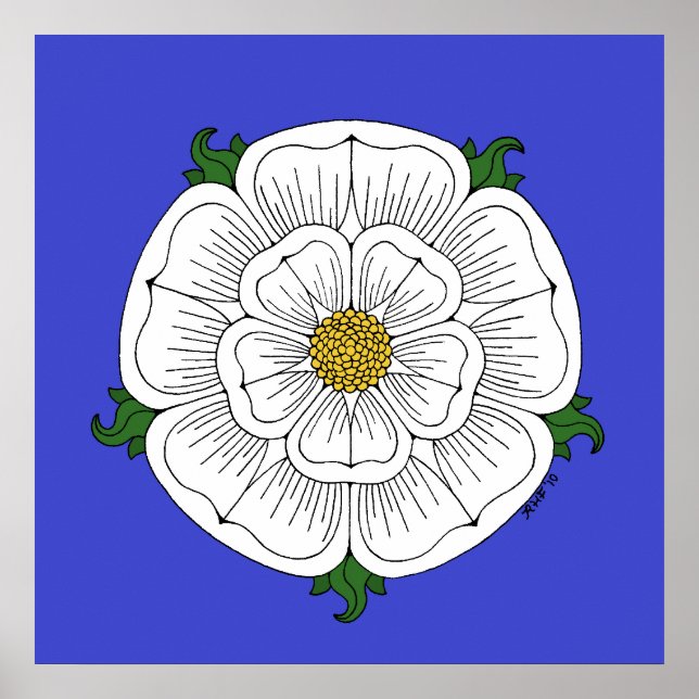 Poster Rose blanche de York (Devant)