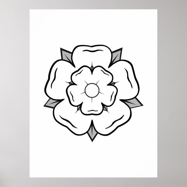 Poster Rose blanche de York (Devant)