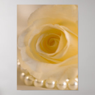 Poster Rose blanche et perles