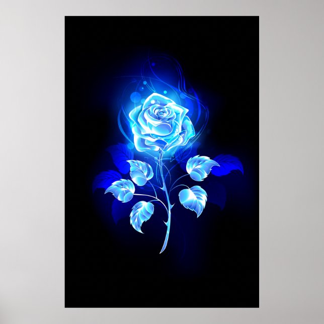 Poster Rose bleu brûlant (Devant)