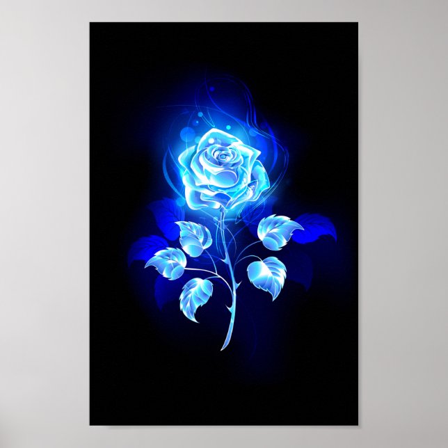 Poster Rose bleu brûlant (Devant)
