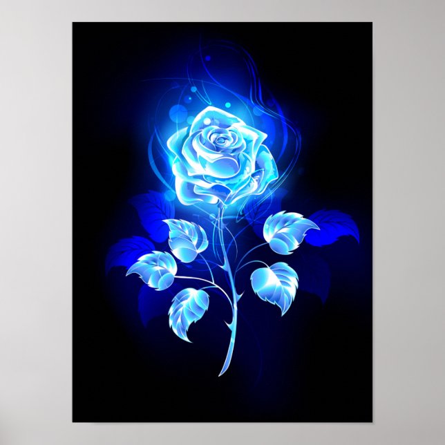 Poster Rose bleu brûlant (Devant)