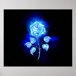 Poster Rose bleu brûlant