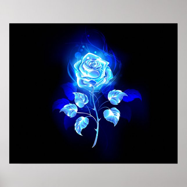 Poster Rose bleu brûlant (Devant)
