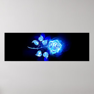 Poster Rose bleu brûlant